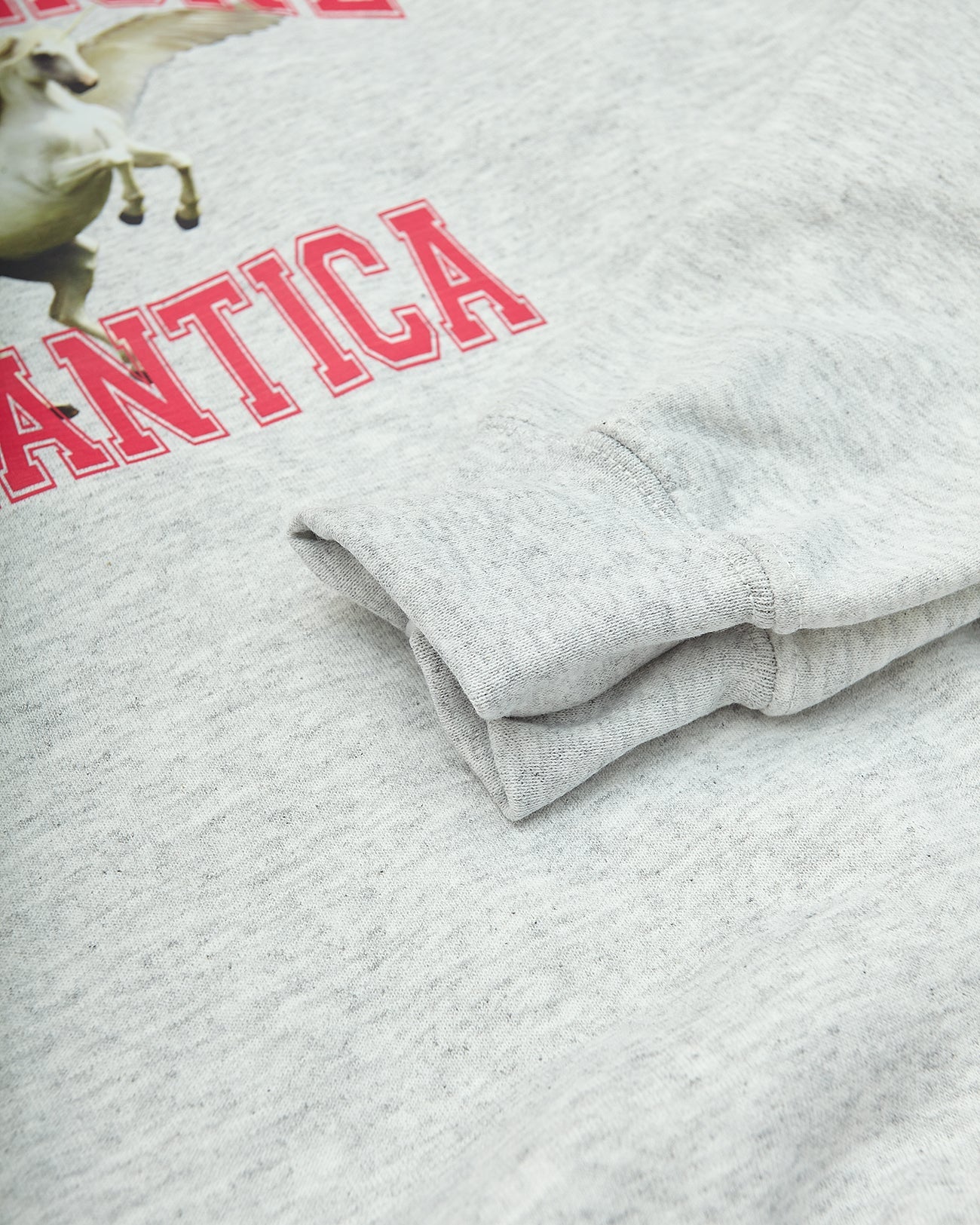 Felpa Girocollo Unicorn Grigia