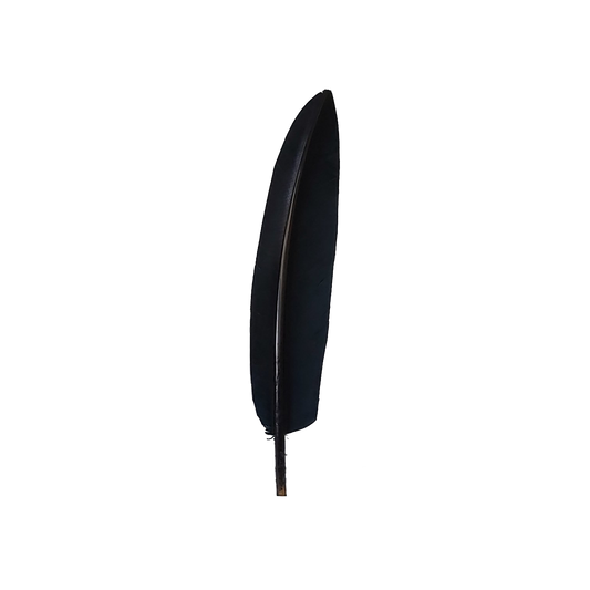 Penna per cappello Alpino rigida