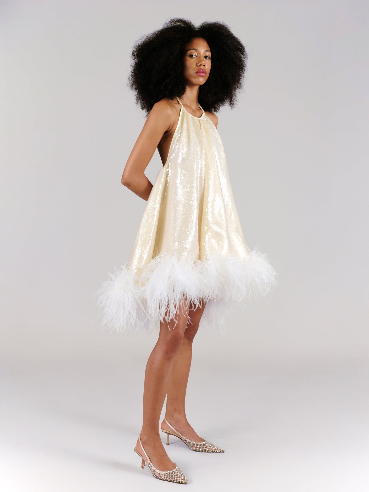 Georgia Dress Sparkling Champagne