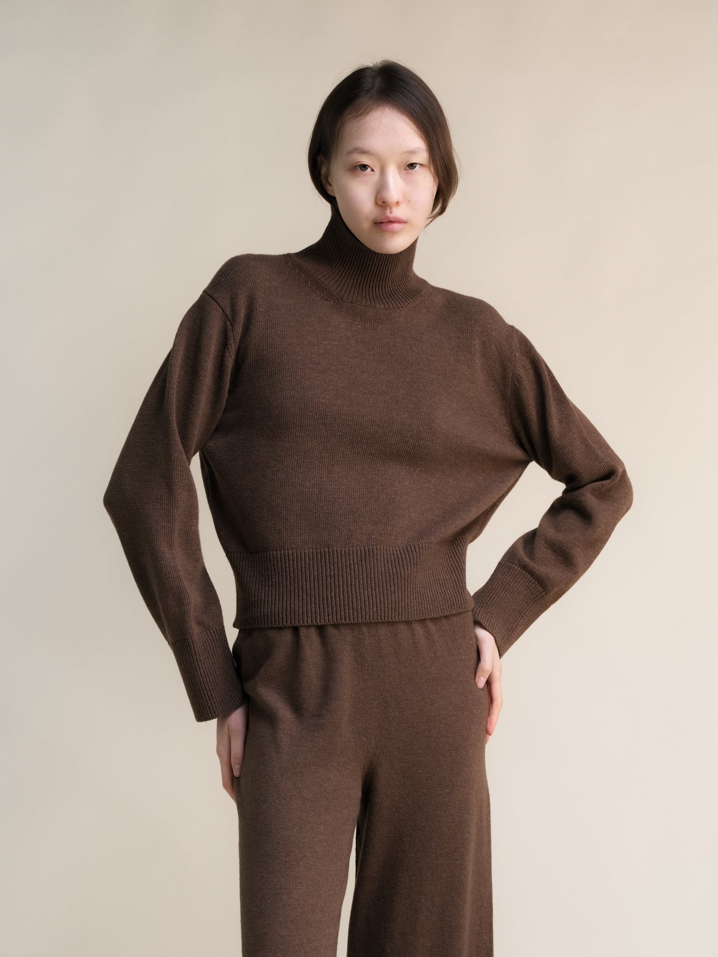Cashmere Mix Turtleneck Sweater