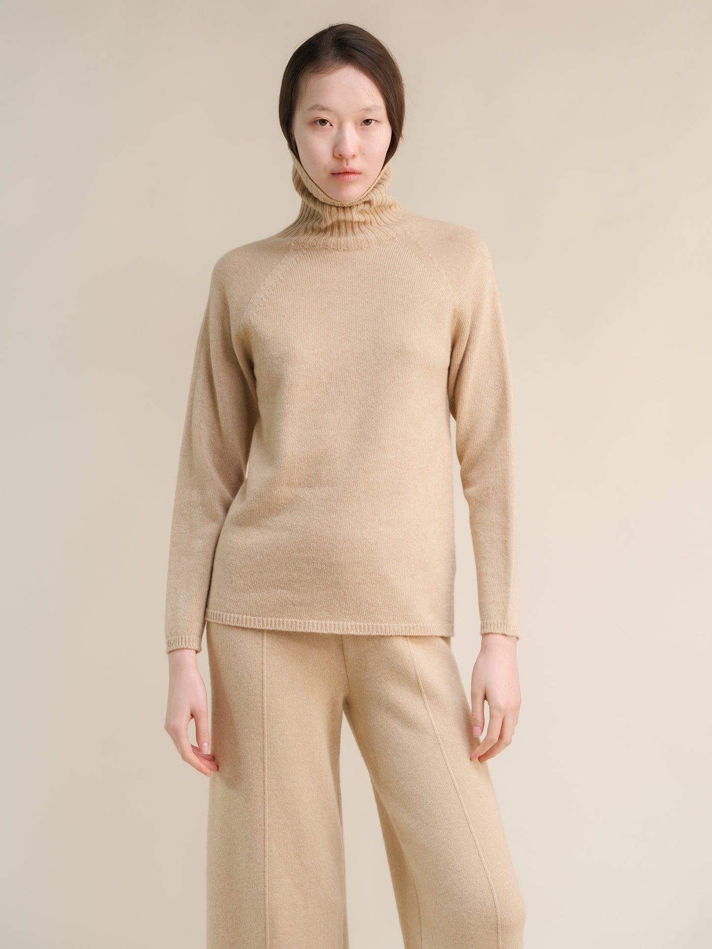 Cashmere Mix Turtleneck Sweater (3D-Knit)