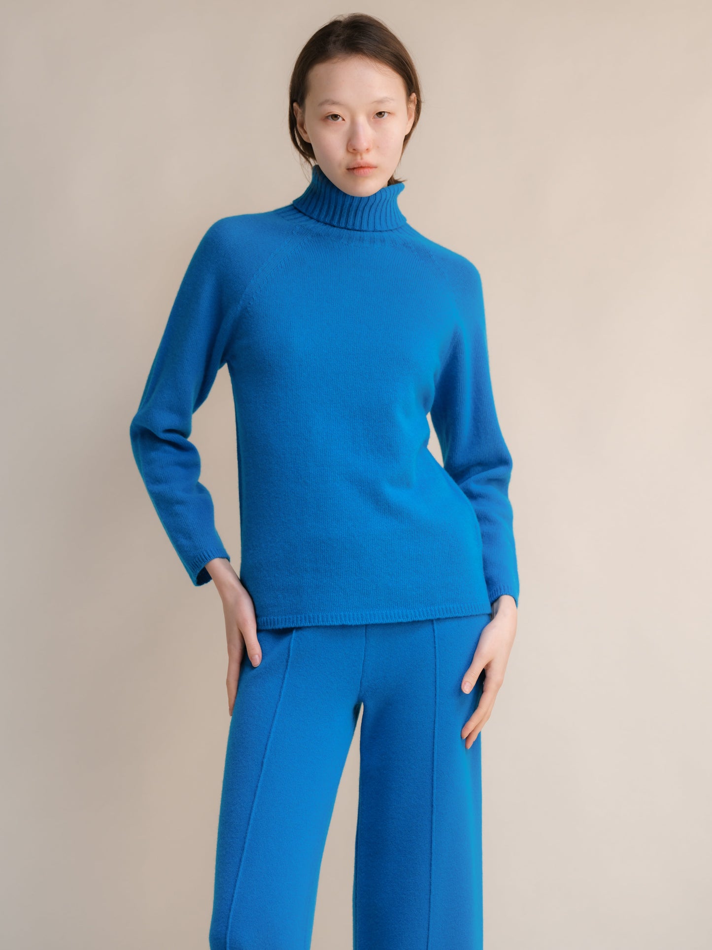 Cashmere Mix Turtleneck Sweater (3D-Knit)