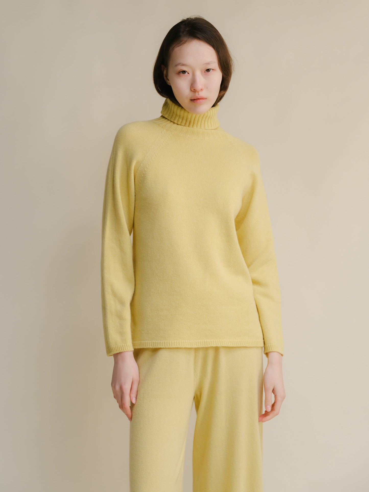 Cashmere Mix Turtleneck Sweater (3D-Knit)