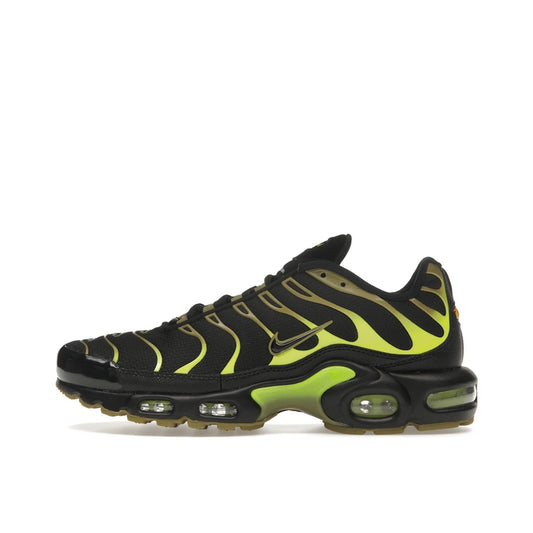Nike Air Max Plus Pacific Moss