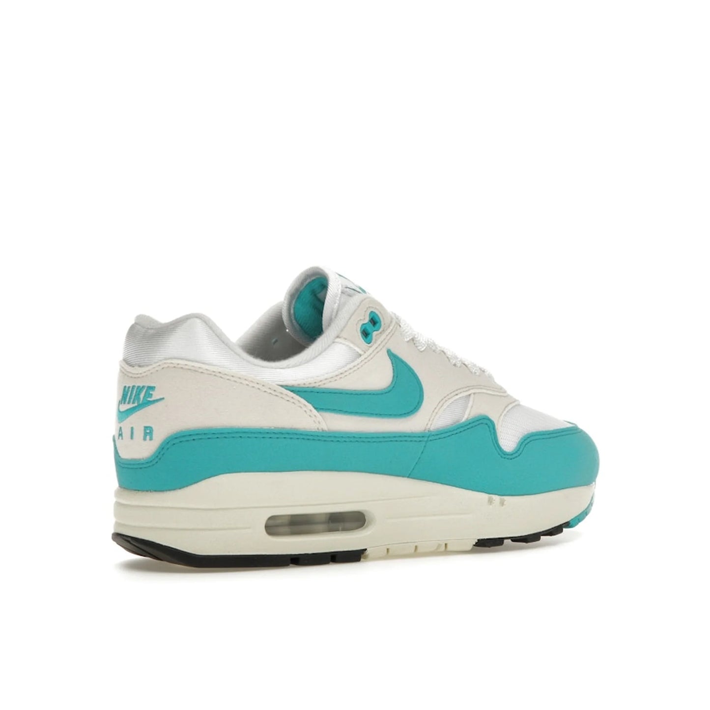 Nike Air Max 1 Dusty Cactus (Women's)