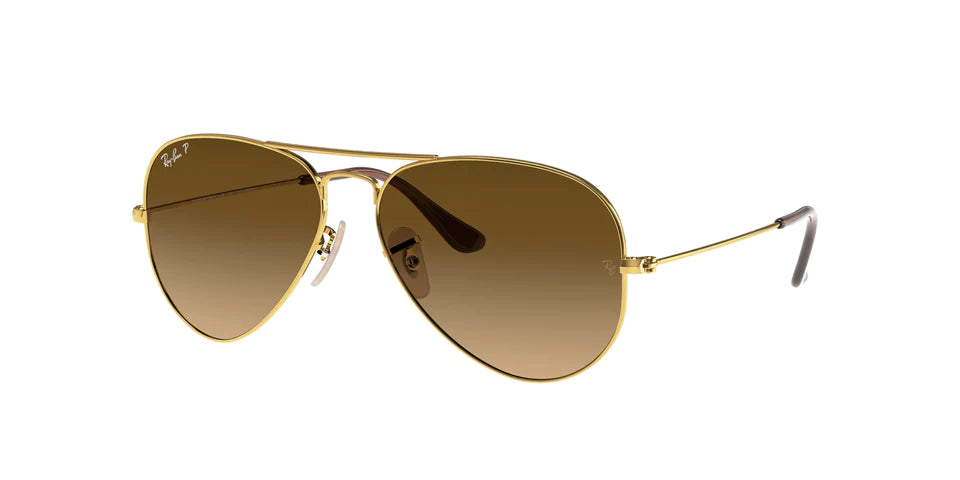 RAY-BAN 3025 Aviator Sunglasses