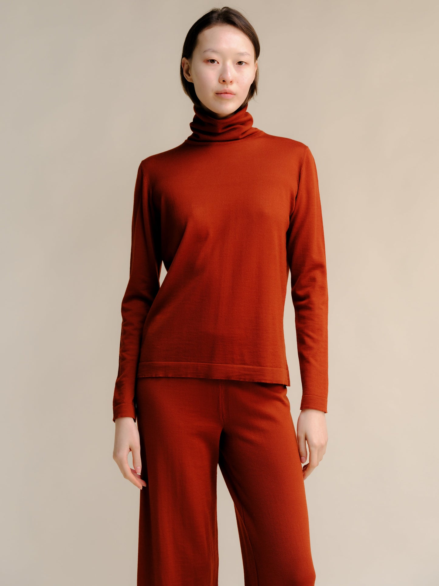 Extra Fine Merino Wool Turtleneck with Straight Sleeve