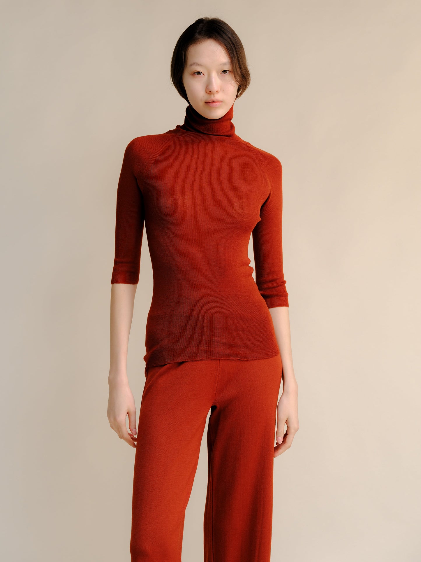 Extra Fine Merino Wool 3/4 Sleeve Ribbed Turtleneck  (3D-Knit)