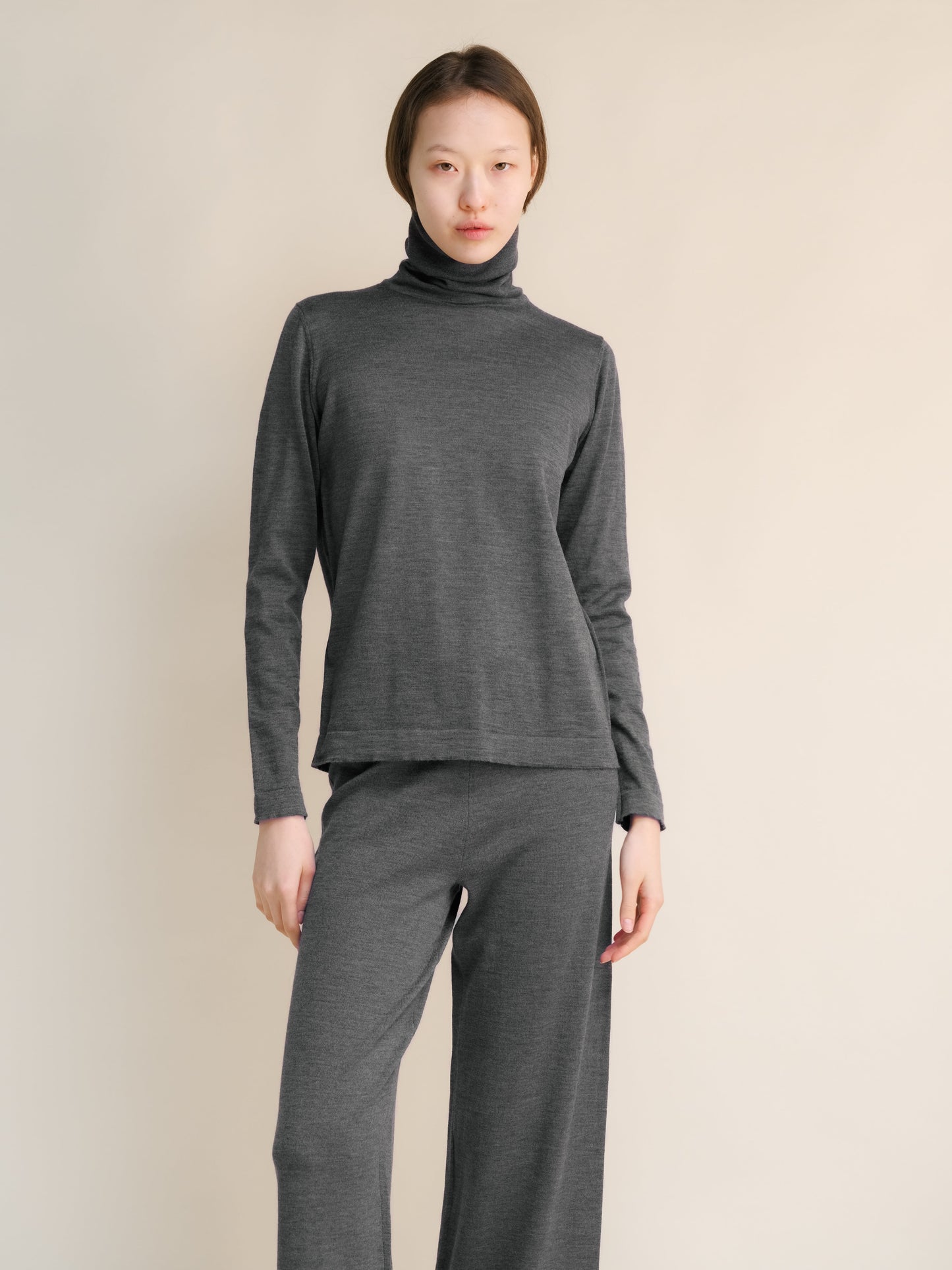 Extra Fine Merino Wool Turtleneck with Straight Sleeve