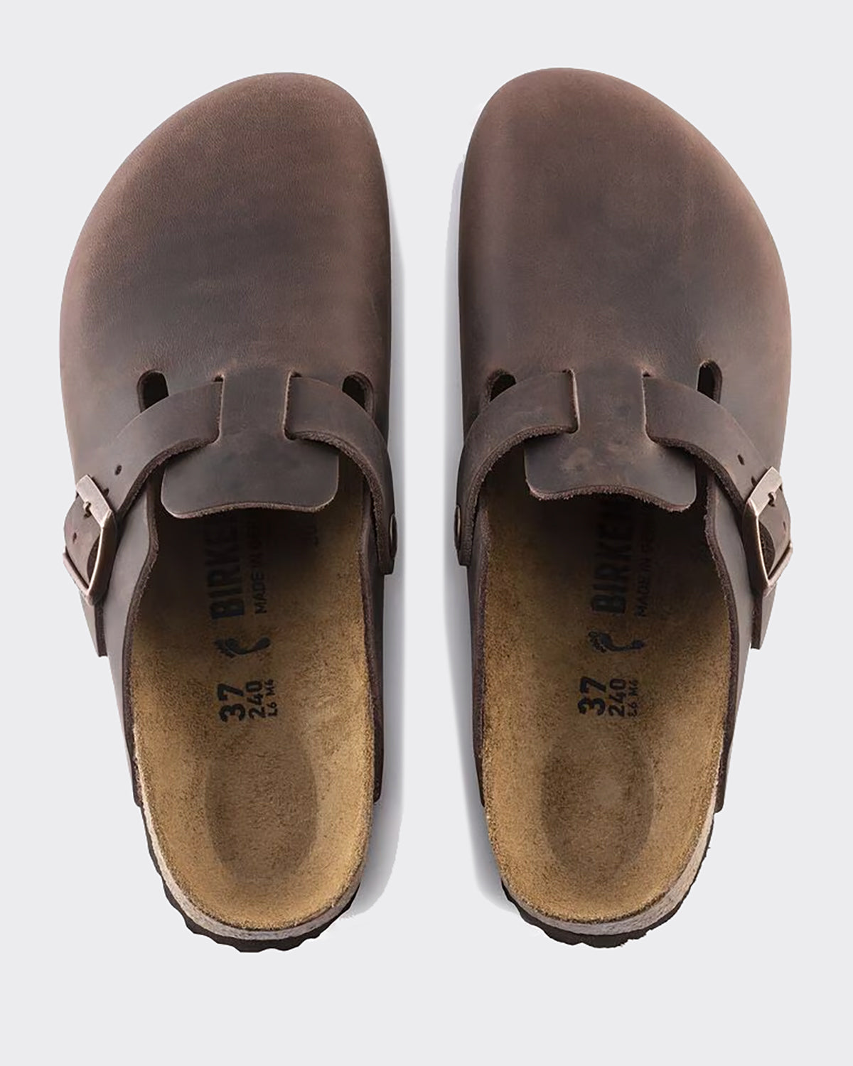 Ciabatta Boston Habana Oiled