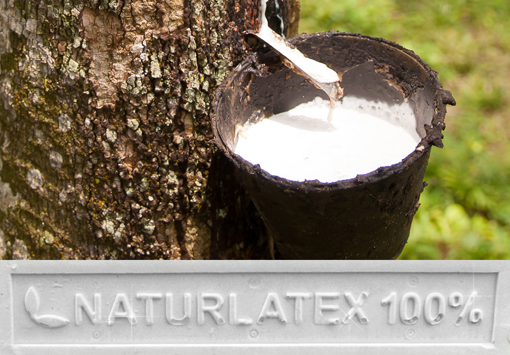 Materasso 100% lattice di origine naturale a zone con tessuto antiacaro alto 20 cm - POLARIS